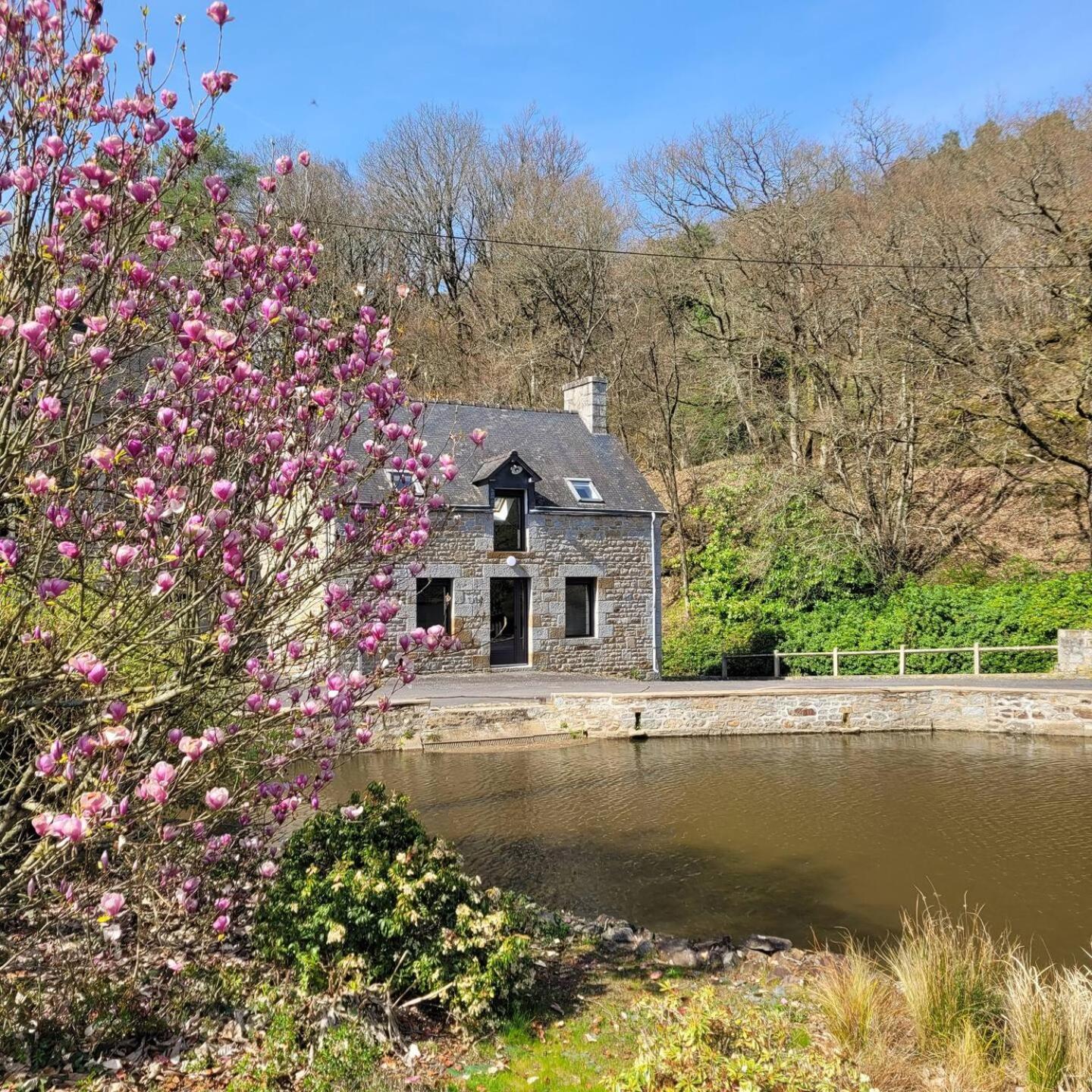 Villa Maison Du Moulin à Maen Roch Extérieur photo